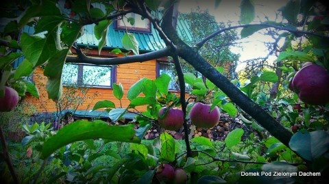 domek 