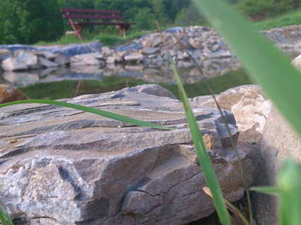 oczko wodne w parku św. Kingi w Głębokim