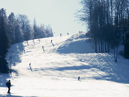 stok narciarski Kosarzyska